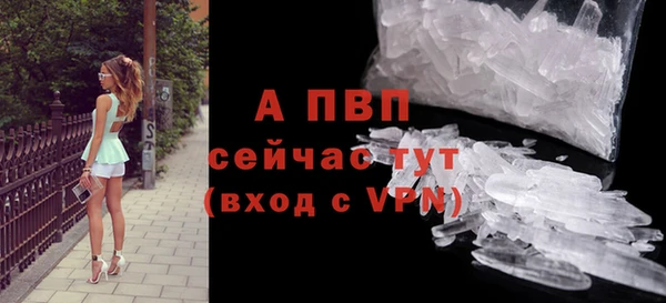 шишки Елабуга