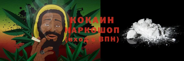 ешки Ельня