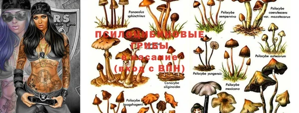 ешки Ельня