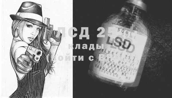 винт Аша