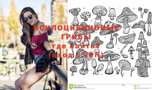 ешки Ельня