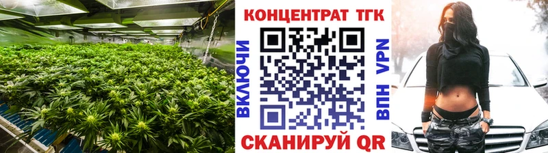 Дистиллят ТГК концентрат  наркошоп  Змеиногорск 